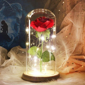Best seller Beauty And The Beast Galaxy Rose In Glass Dome White Base For Deco Valentine's Day Gifts Christmas LED Rose Lamps
