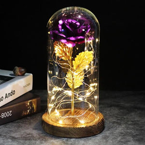 Best seller Beauty And The Beast Galaxy Rose In Glass Dome White Base For Deco Valentine's Day Gifts Christmas LED Rose Lamps