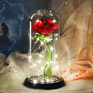 Best seller Beauty And The Beast Galaxy Rose In Glass Dome White Base For Deco Valentine's Day Gifts Christmas LED Rose Lamps