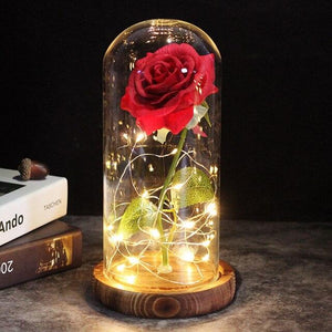 Best seller Beauty And The Beast Galaxy Rose In Glass Dome White Base For Deco Valentine's Day Gifts Christmas LED Rose Lamps