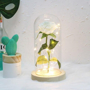 Best seller Beauty And The Beast Galaxy Rose In Glass Dome White Base For Deco Valentine's Day Gifts Christmas LED Rose Lamps