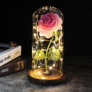 Best seller Beauty And The Beast Galaxy Rose In Glass Dome White Base For Deco Valentine's Day Gifts Christmas LED Rose Lamps