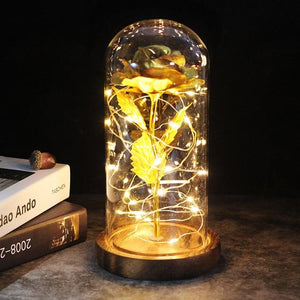 Best seller Beauty And The Beast Galaxy Rose In Glass Dome White Base For Deco Valentine's Day Gifts Christmas LED Rose Lamps
