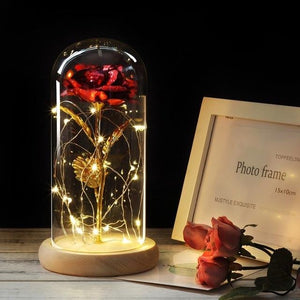 Best seller Beauty And The Beast Galaxy Rose In Glass Dome White Base For Deco Valentine's Day Gifts Christmas LED Rose Lamps