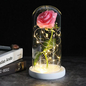 Best seller Beauty And The Beast Galaxy Rose In Glass Dome White Base For Deco Valentine's Day Gifts Christmas LED Rose Lamps