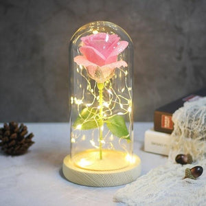 Best seller Beauty And The Beast Galaxy Rose In Glass Dome White Base For Deco Valentine's Day Gifts Christmas LED Rose Lamps