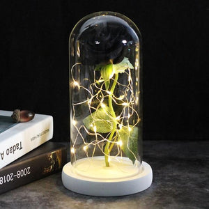 Best seller Beauty And The Beast Galaxy Rose In Glass Dome White Base For Deco Valentine's Day Gifts Christmas LED Rose Lamps