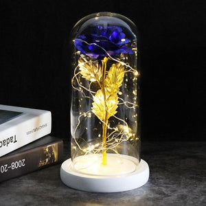 Best seller Beauty And The Beast Galaxy Rose In Glass Dome White Base For Deco Valentine's Day Gifts Christmas LED Rose Lamps