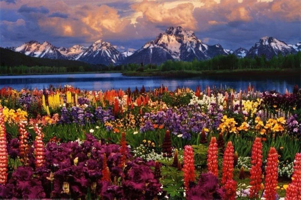 Home Decor Grand Teton Best Seller-Silk Art Poster Wall Sticker Decoration Gift